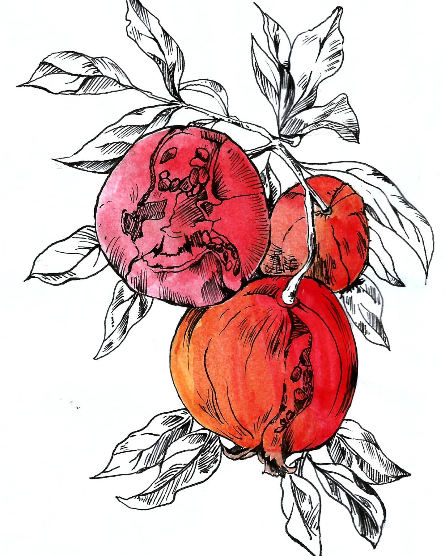 메리크리스마스 :>

#오늘의그림 #dailydrawing #만년필 #fountainpen
#수채화 #watercolor #그림 #drawing #그림계정맞팔 #fff #f4f