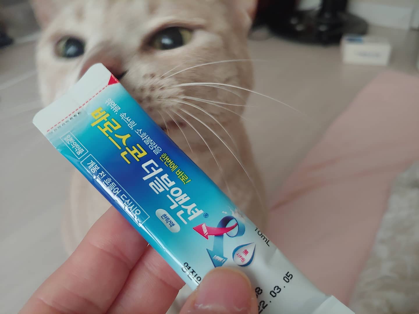 츄르 아니야. ㅋㅋ