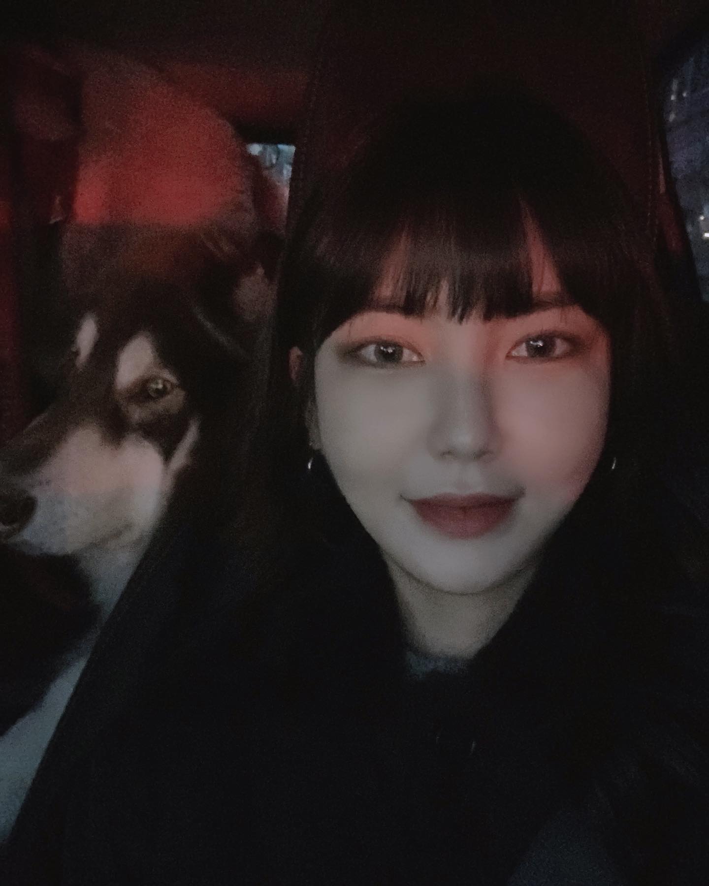 멍뭉이는 사랑입니당 🤎
또 보고시퍼 하은복근라온 bok.ra_bro