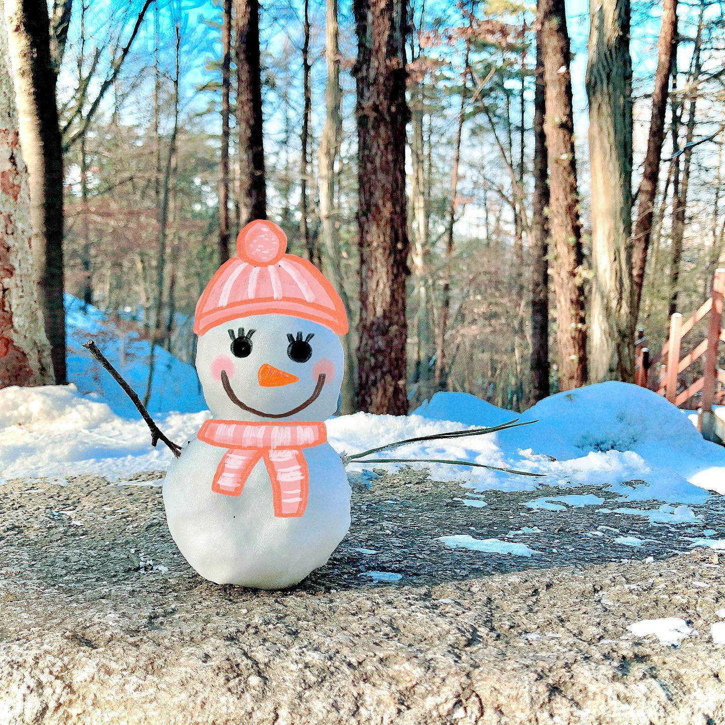🐷
똑똑똑 똑똑! 나랑 눈사람 만들~래?
눈 쌓인 #보문산 에서 #눈사람 만들기⛄️