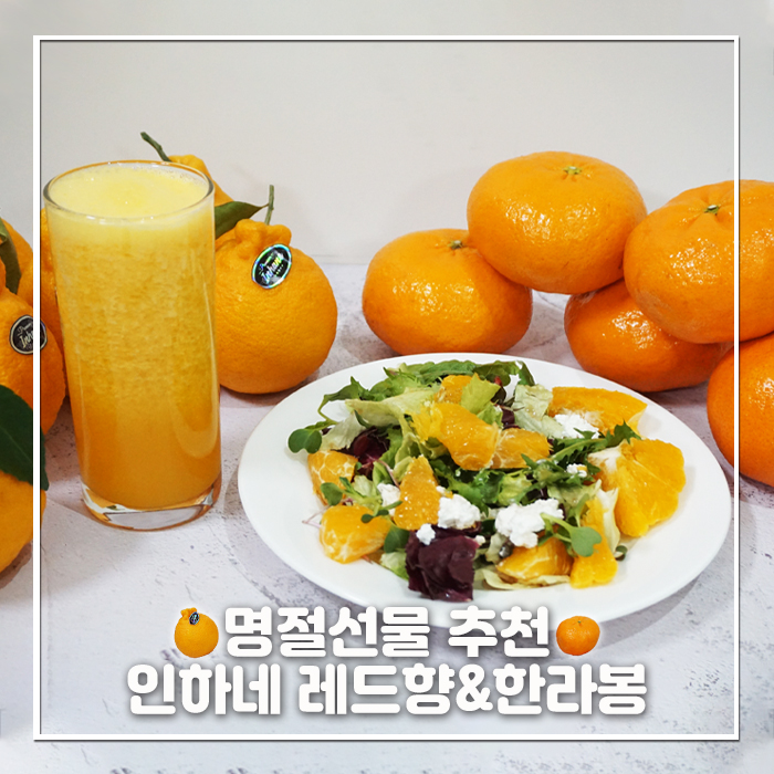 명절 선물세트로 딱! 인하네 과일세트로 든든 건강식 만들었어요 :)