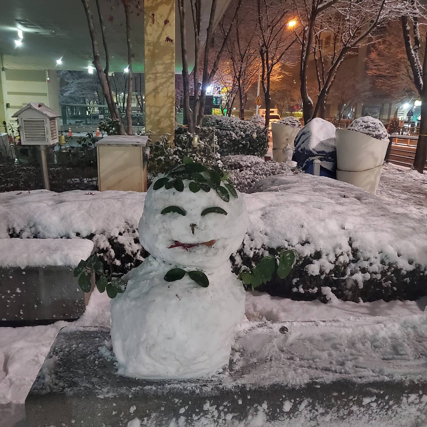 ❄ 
.
.
.
.
.
#겨울 #춥다 #눈사람 #함박눈 #포근 #좋다