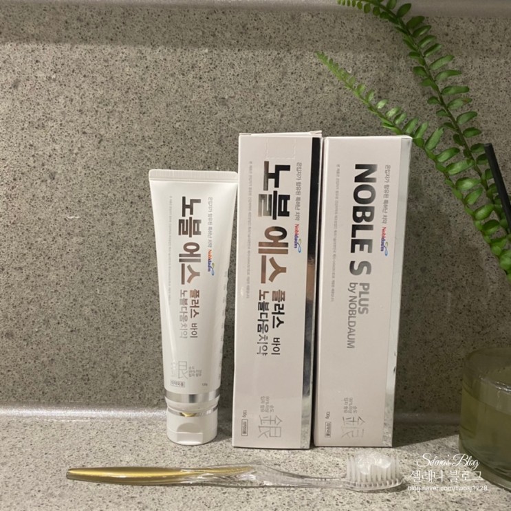 잇몸질환예방에 효과적인 노블에스은치약으로 상쾌하게