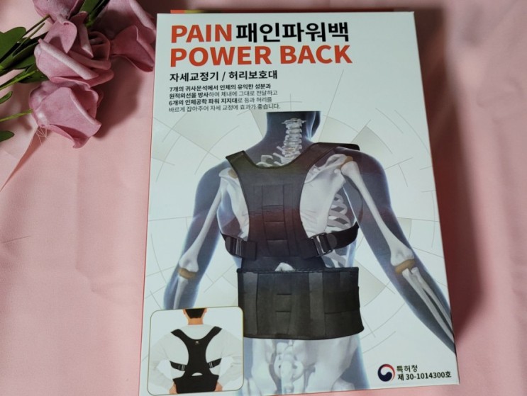[건강] 와디즈 패인파워백 - 자세교정기로 바른 자세 만들기