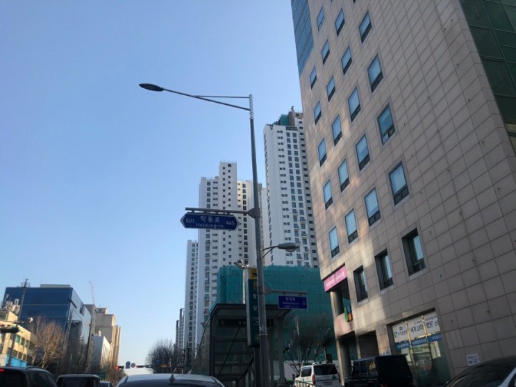 졸업식/입학식 꽃다발 정말 잘 고르고 싶다면? 강남구/청담동애 쉴 리즈 플라워 센터피스 후기