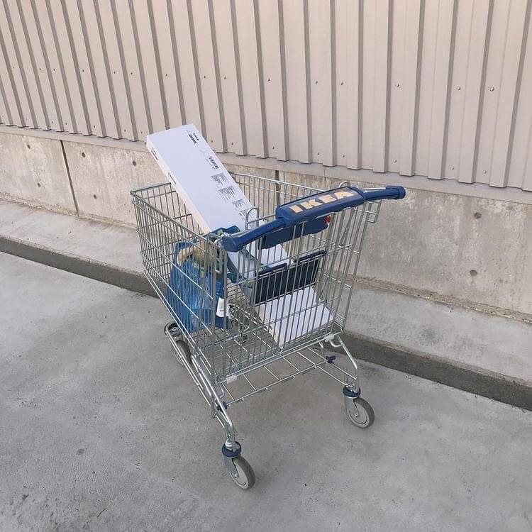 콘텐츠