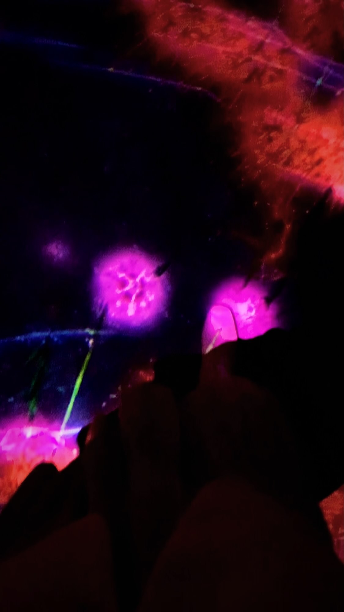 TEAMLAB:LIFE
