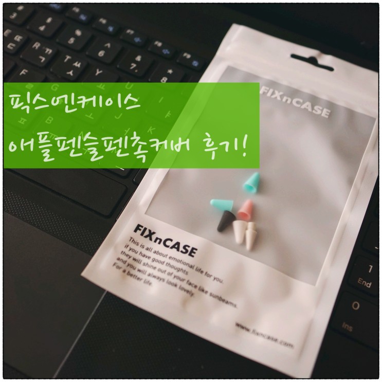 애플펜슬펜촉커버 픽스엔케이스 가성비 좋은 보호캡 후기!