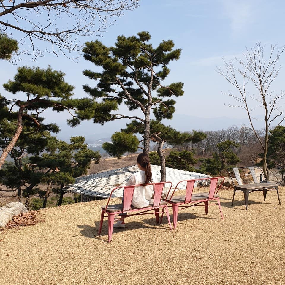  “동생이랑 다녀온 원주의 이쁜 카페 저도 재미있게 봤던 드라마 김수현, 서예지 주인공의 #싸이코지만괜찮아촬영지 로 유명한 #사니다카페 원주의 핫플레이스로 예쁜 사진도 많이 찍을 수 있는 뷰가 정말 예술인…”