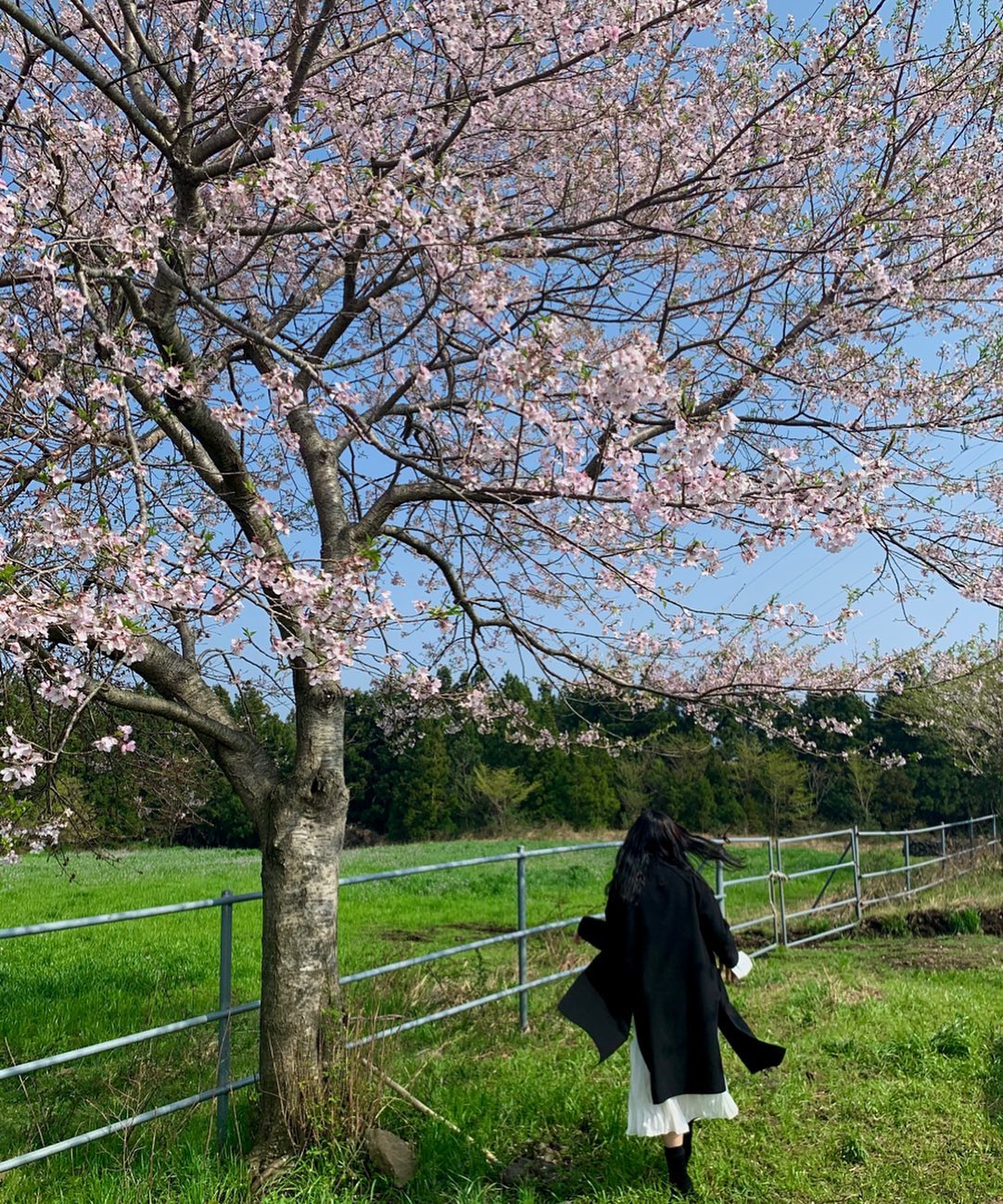 🌸🌷🌹🌻🌺💐🌼