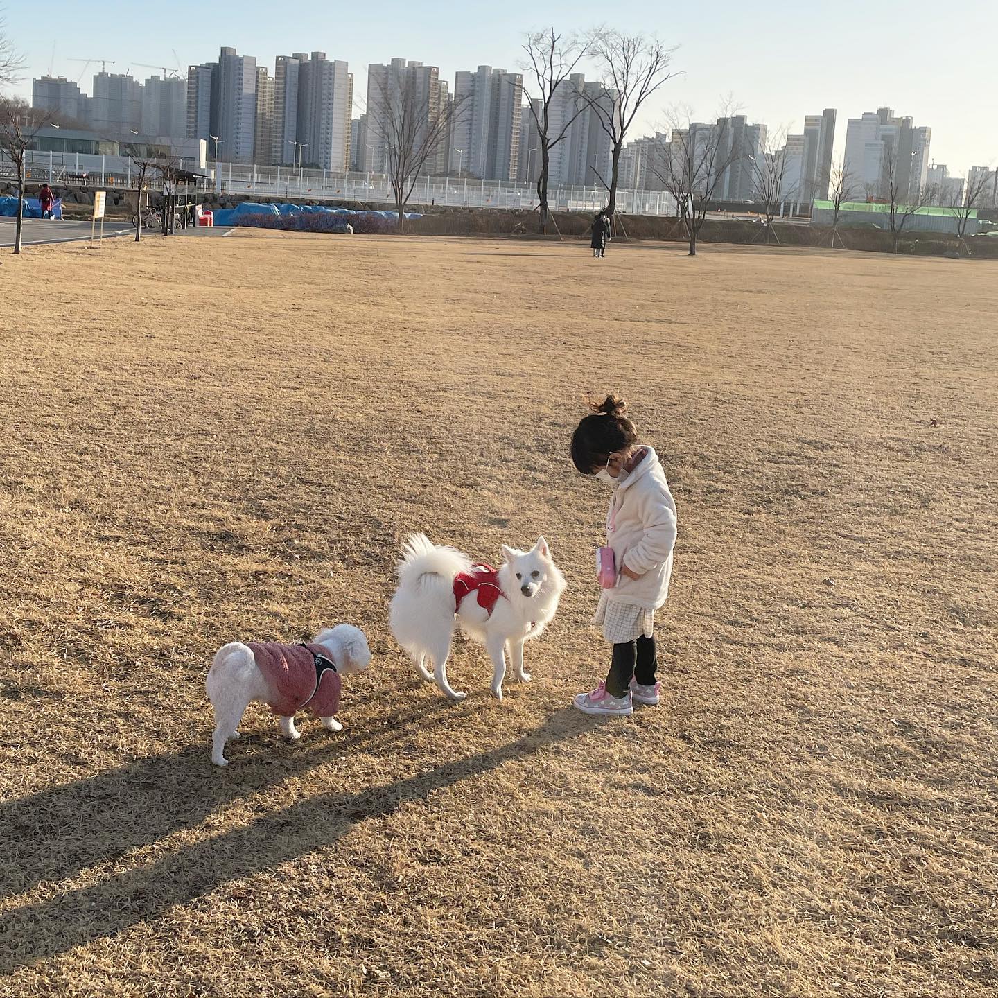 소중한 평범한 일상✨