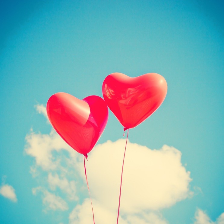 마음을 전하기 제일 좋은 선물은 꽃다발^^ 청담애쉴리즈플라워에서 준비하세요~