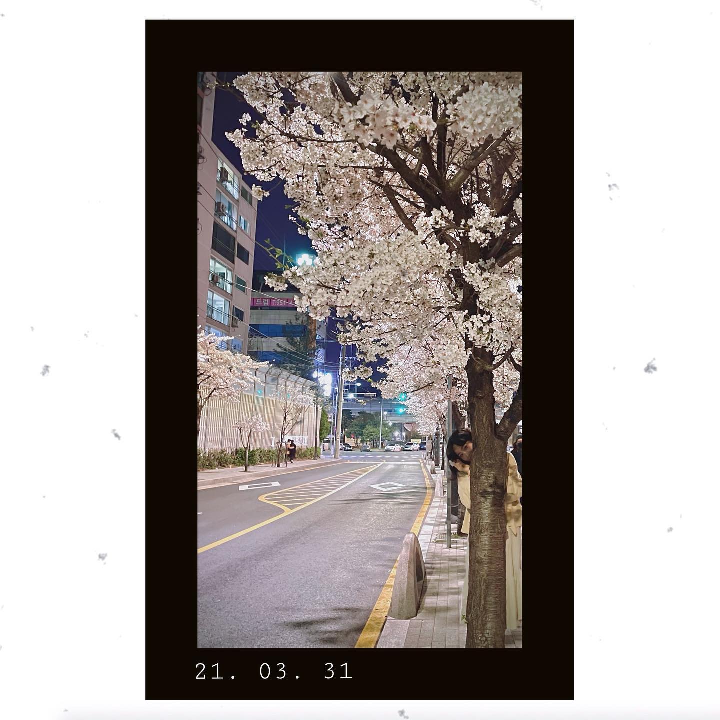 폴라로이드 너끰...📸👏
벚꽃 가지마😭
.
.
.
#벚꽃#봄#벚꽃놀이#봄놀이#저녁벚꽃#당현천#벚꽃명소#일상#사진#폴라로이드#cherryblossom#spring#daily#photography#photo#Polaroid#🌸#📸