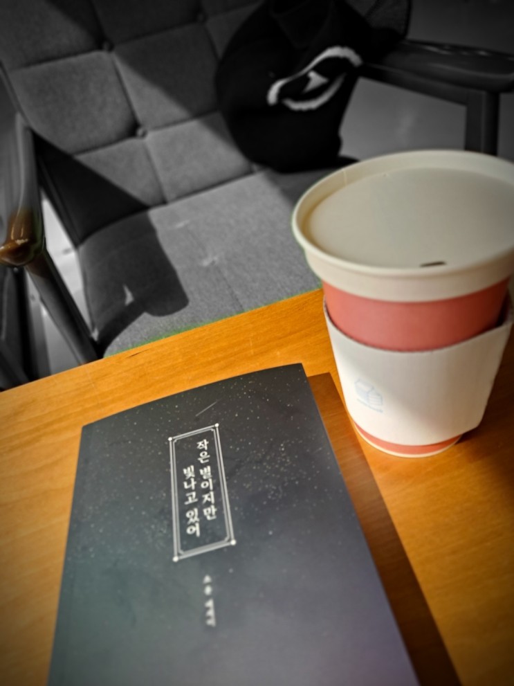 베스트셀러 에세이 추천 책 추천 인생책  선물하기좋은책 작은별이지만빛나고있어