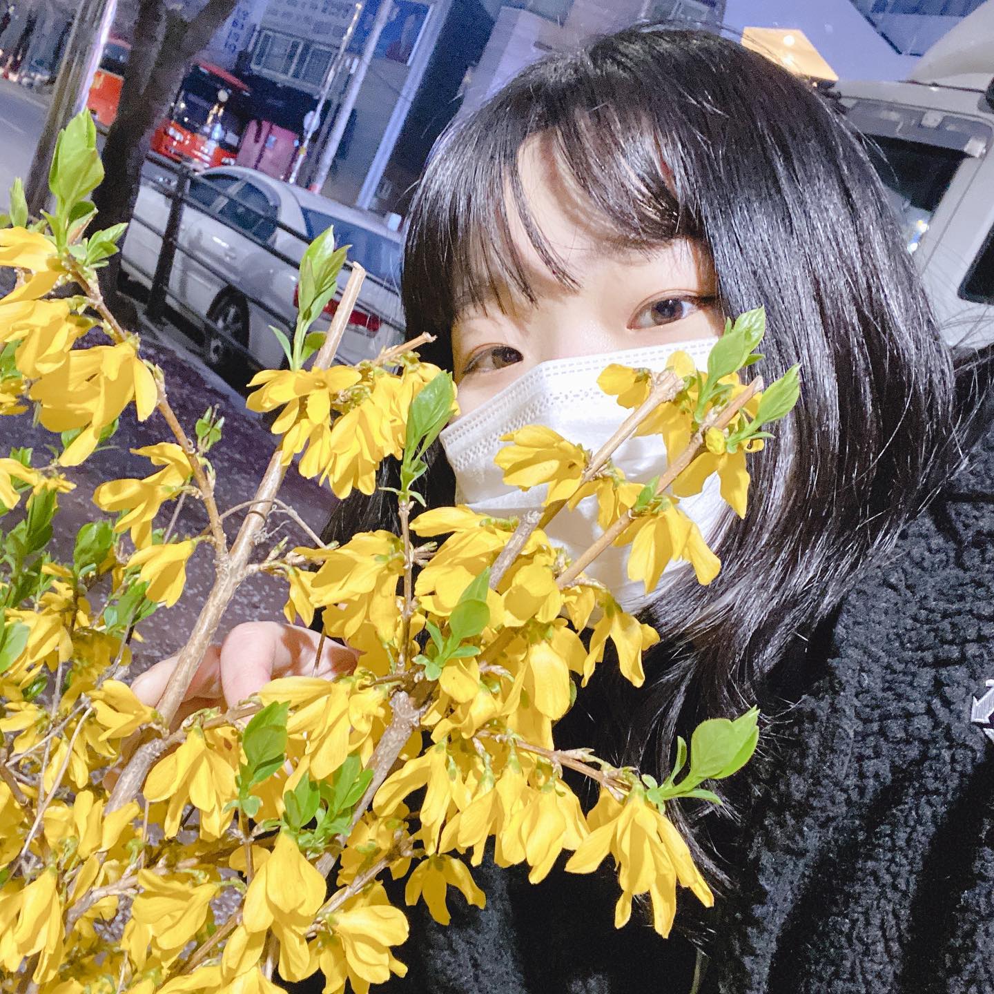 #안녕 #개나리 🌼🌼