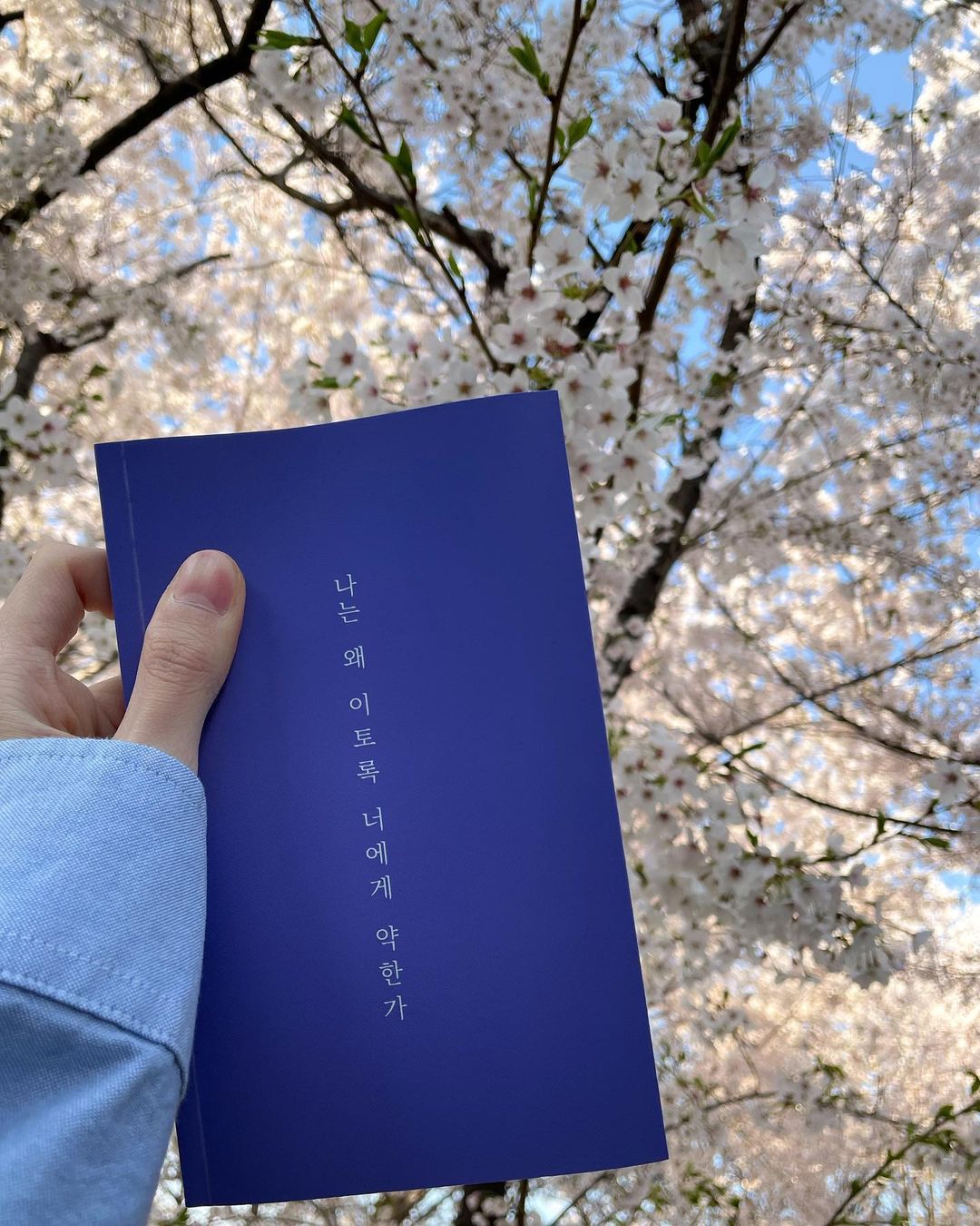 “#협찬 연애 지침서로 받아드리고 읽는 중••• 작가님 이별 플레이리스트 있길래 신기했던 💽”