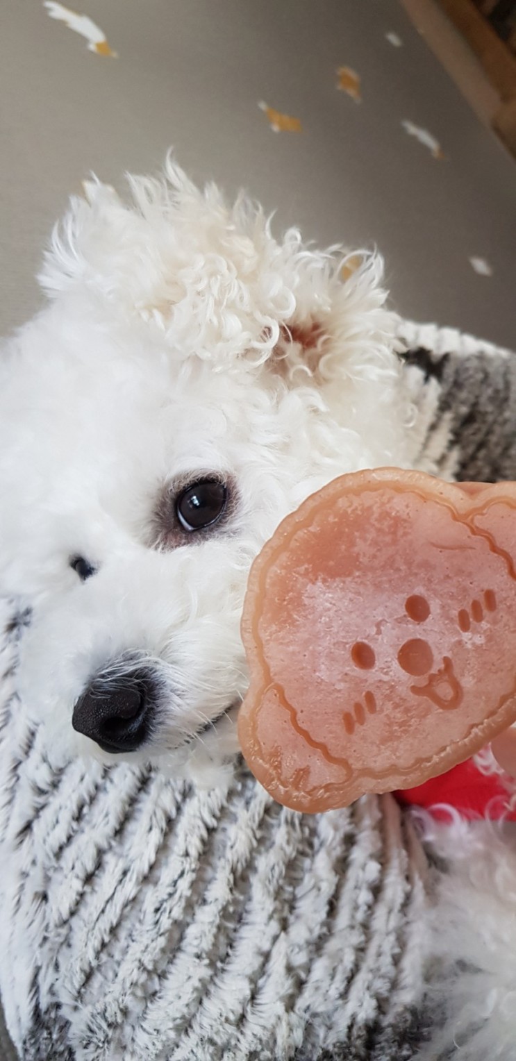 강아지산책 후 발 씻기! 강아지비누 강아지발세정제 - 펫가온 핑크홀릭