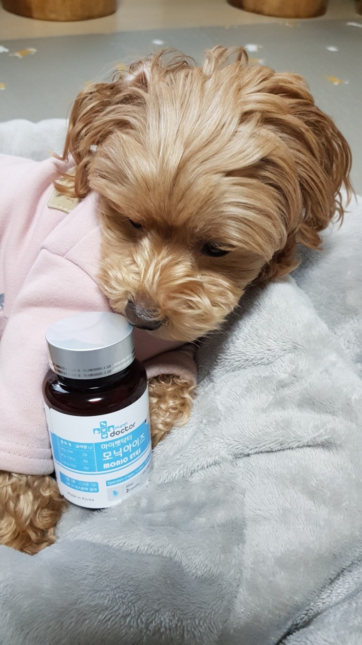 기호성 좋은 강아지 눈 영양제 / 강아지 눈물 - 마이펫닥터 모닉아이즈