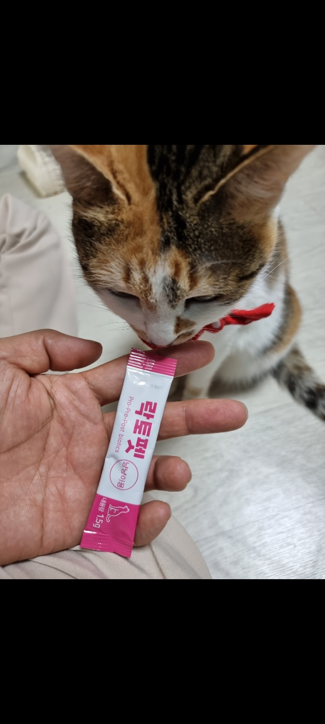 #락토펫 #고양이유산균 #고양이영양제 #고양이변비 #고양이설사 #고양이유산균추천 #펫바이오틱스 #반려묘유산균 #고양이프로바이오틱스 #고양이피부영양제 #애완묘유산균 #반려동물유산균