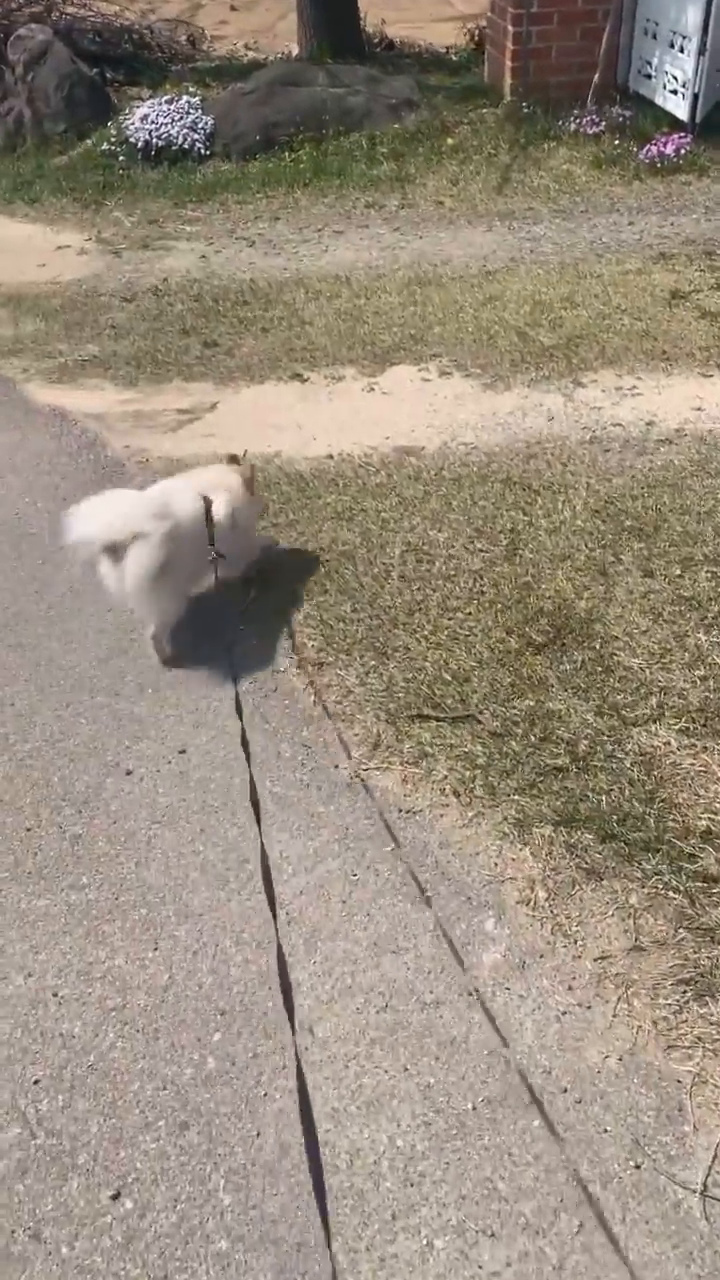 콘텐츠