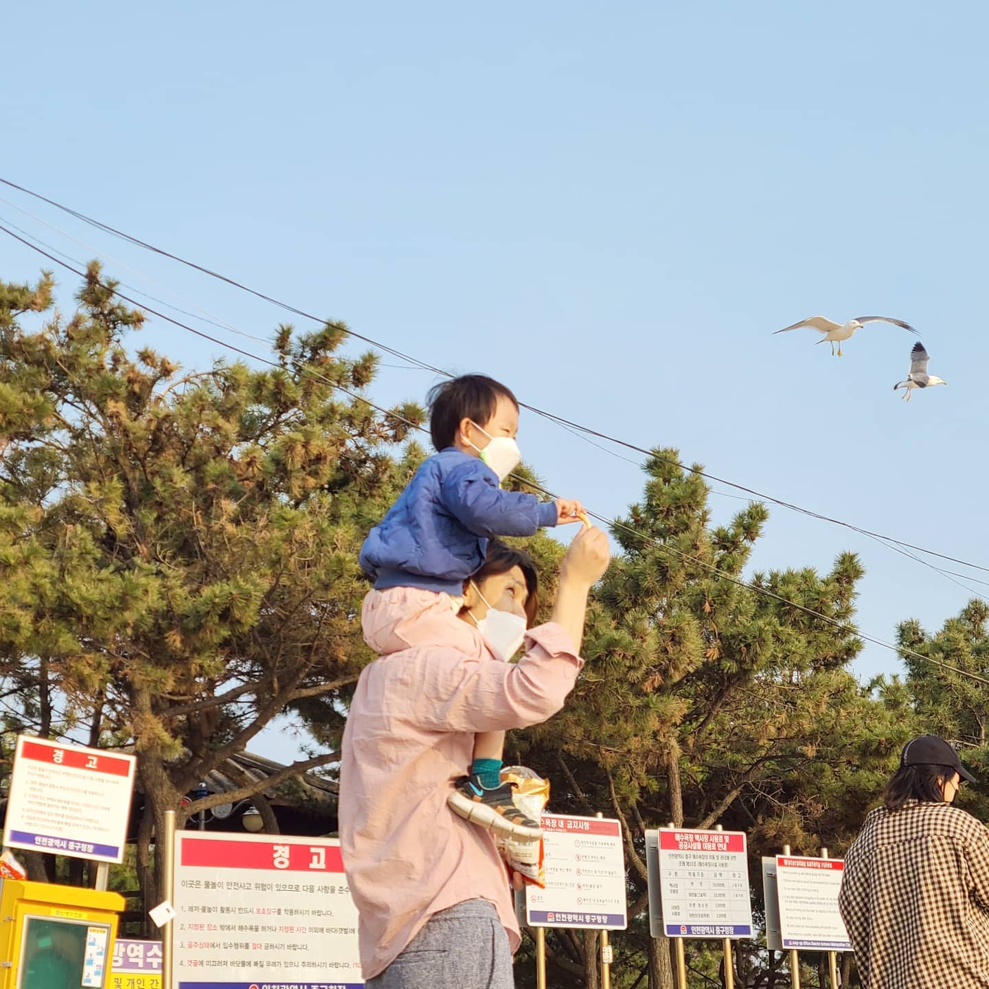 갈매기야~~~🦅

울애기 팔떨어진다~~~
어여와서 먹거라!!
새우깡 주는데 
쭈니껀 못먹어서 슬픈 쭈니
애써 뻗어보지만...
.
.
#짧다 #팔이 #뻗어라얍
#갈매기밥주기 #새우깡 #새우깡먹이주기 
#짧아서슬픈쭈니 #인천 #해변 #주말나들이🚗