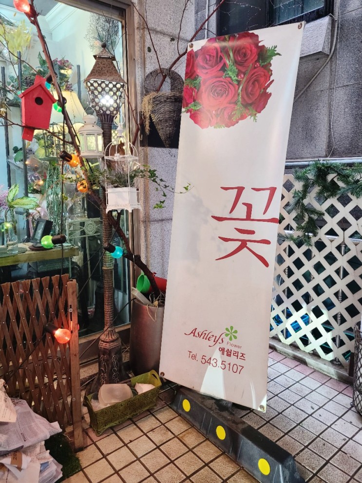 청담동꽃집인데 가성비 좋은 청담역꽃집 애쉴리즈