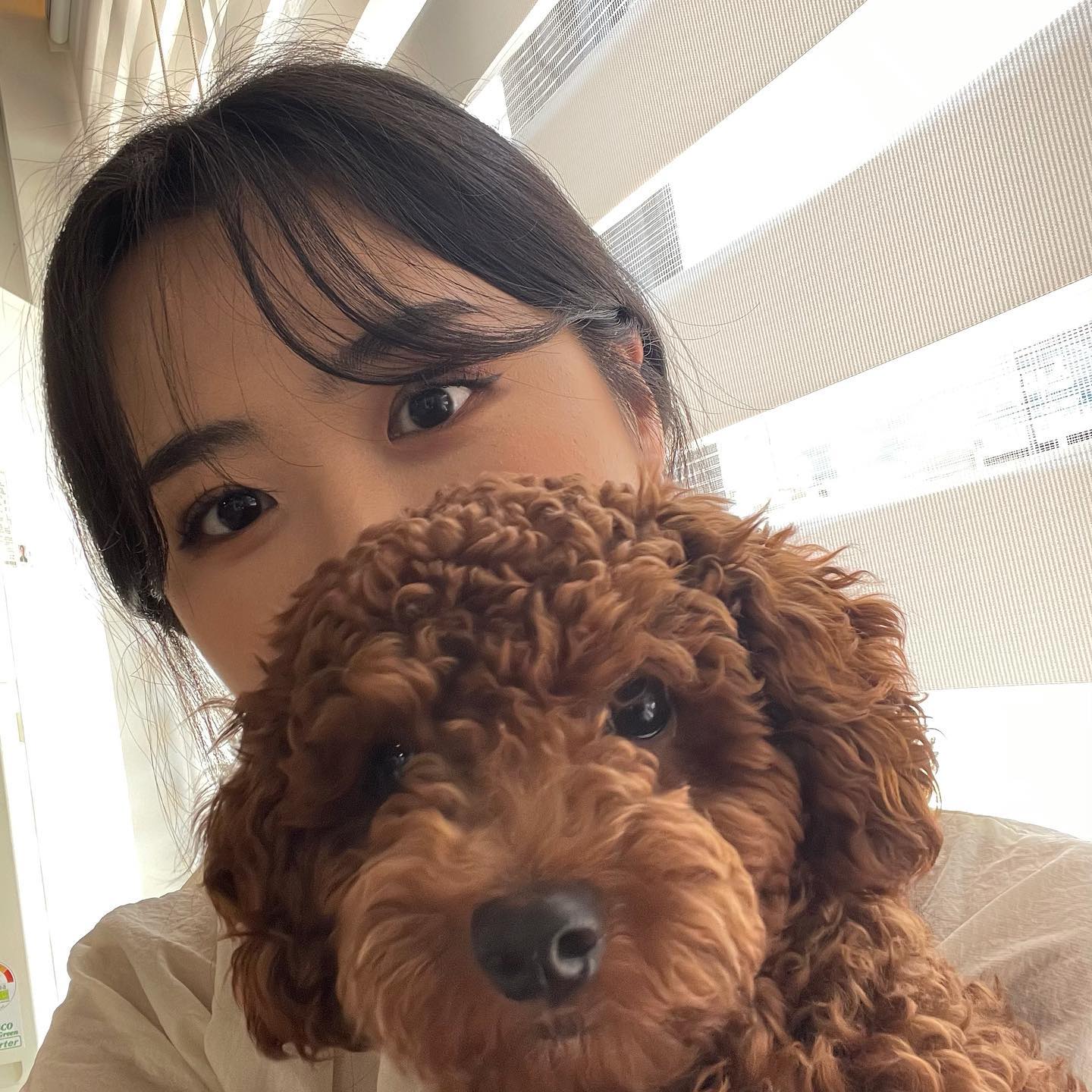 코아 안녕