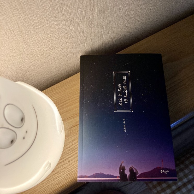 작은 별이지만 빛나고 있어, 나를 위로하는 에세이⭐