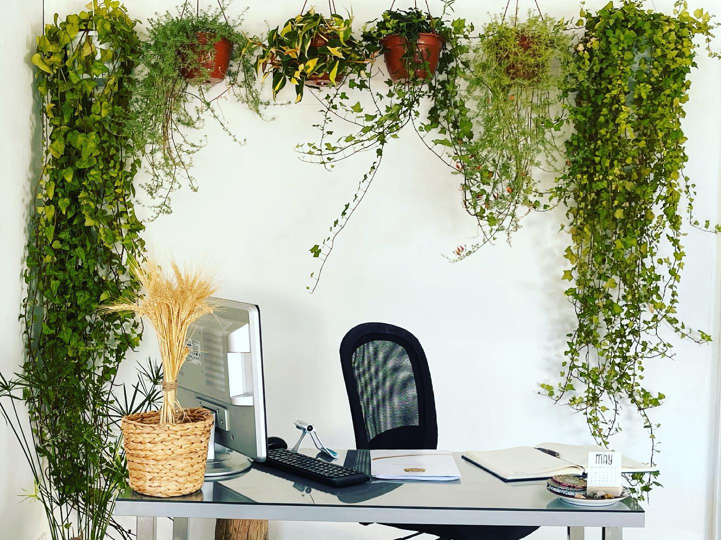 My office 
.
.
.
.  #reflexology #massage #massagetherapy #shiatsu