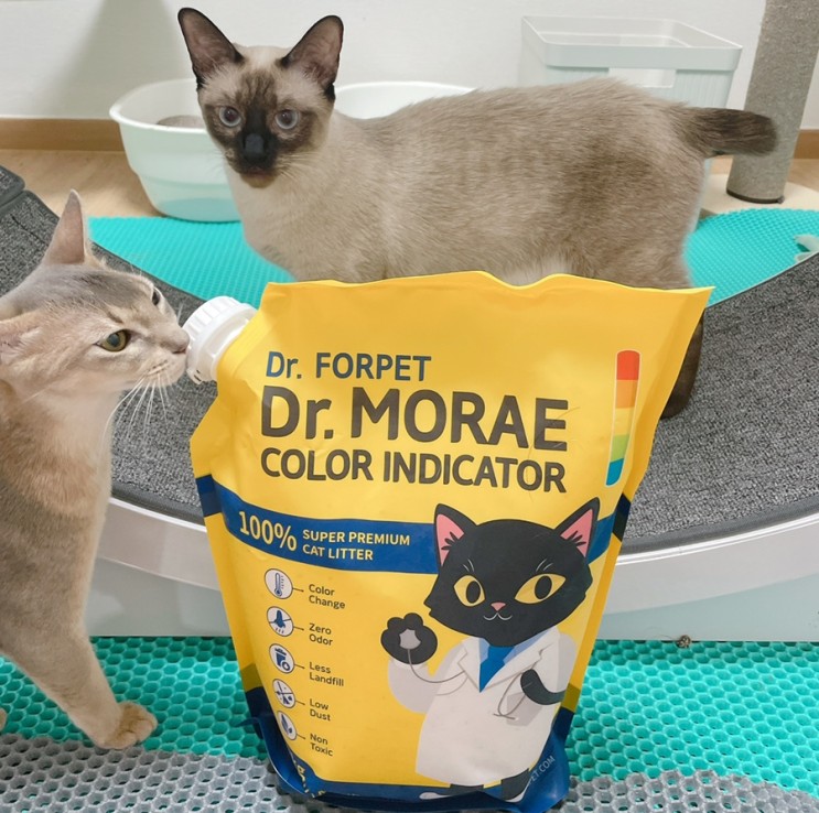 고양이 건강체크 모래 색 변화로 DrFORPET!