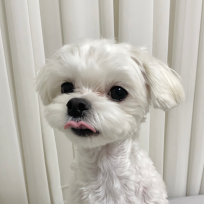 춘식이의 일기장 :) : 네이버 블로그