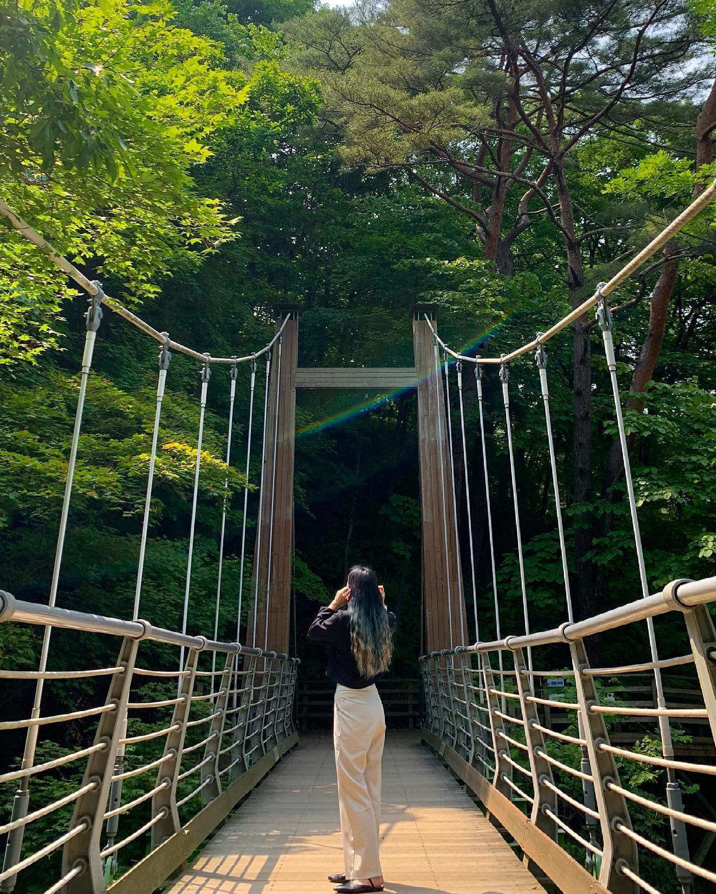 콘텐츠