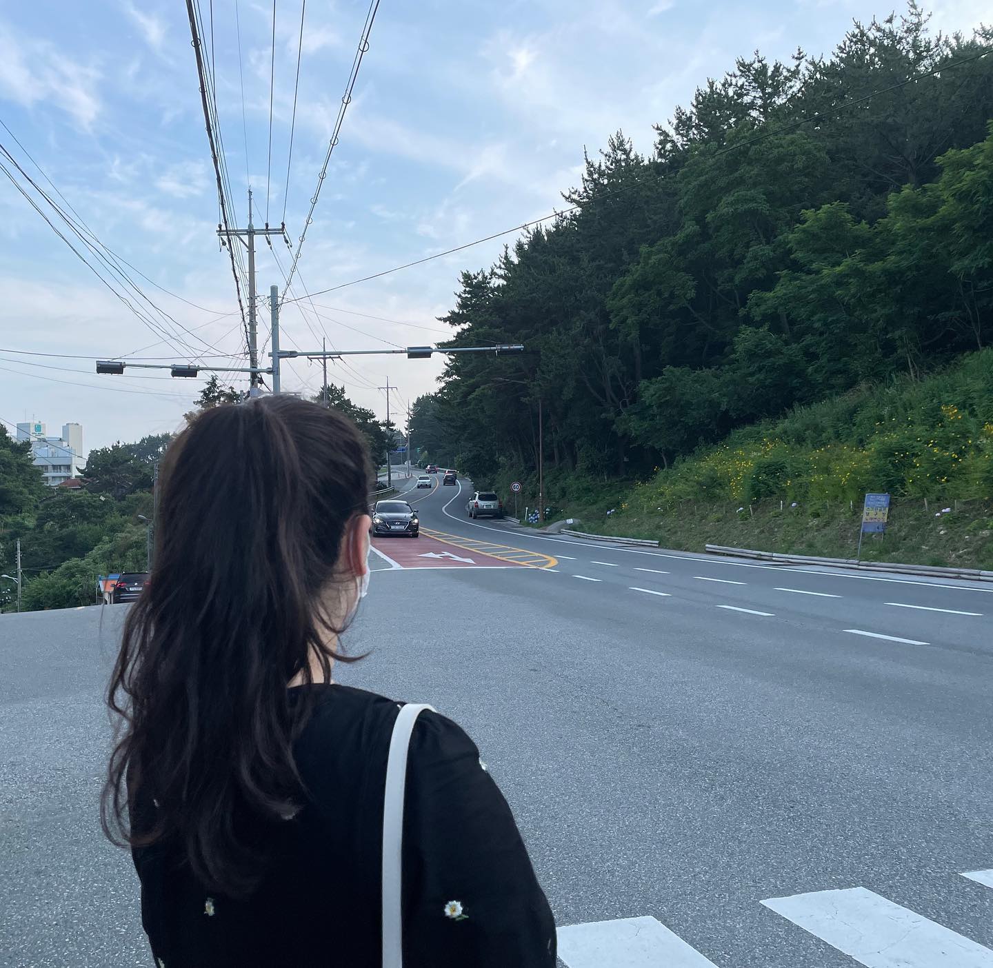 콘텐츠