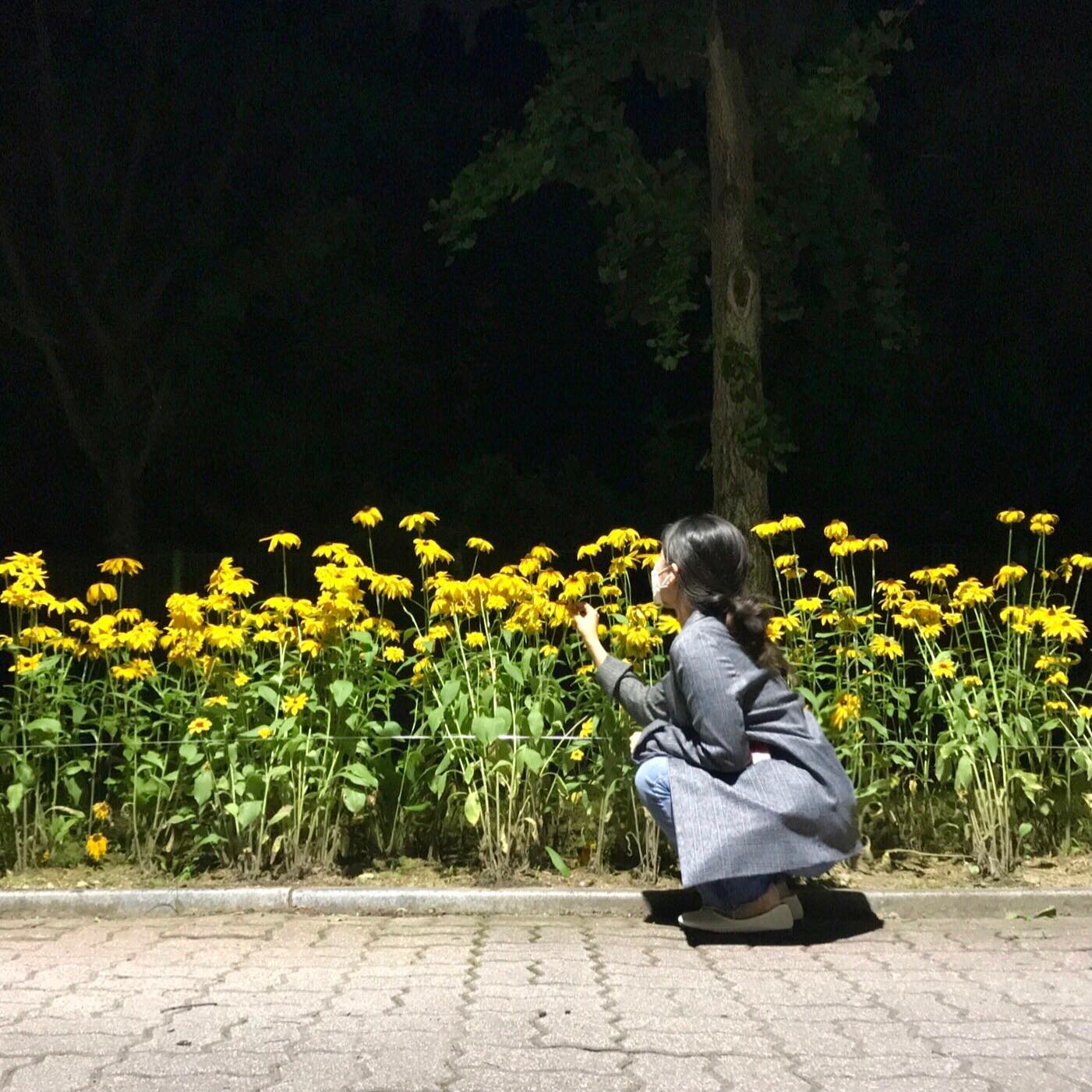 🌃

//
/
-.
#instagram #일상 #daily #dailylife #fff #밤 #밤산책 #21 #666 #🌠 #🌠🌠🌠 _#협찬 #dm