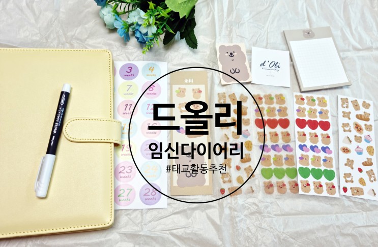 초기임산부선물 태교다이어리 추천 _ 드올리