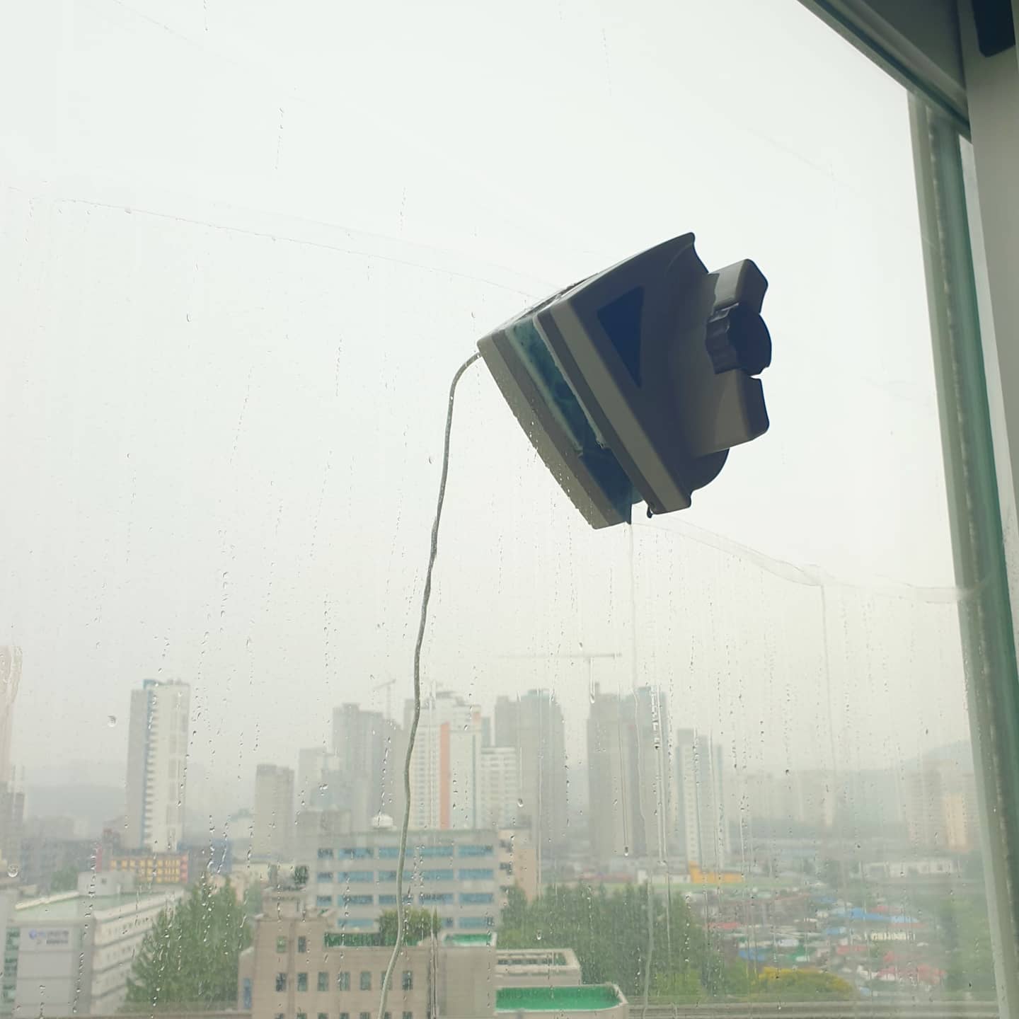 비오는날 = 창문청소💧
자석창문닦이로 닦는다는 것은
유리창이 전체적으론 깨끗해지긴하나
구석구석까진 기대하면 안되고
떨어뜨릴까 맘쫄림도 동반하는 신노동
-
-
-
#자석창문닦이 #은근고된노동 #나름뿌듯 ✌
#일상 #비오는날 #창문청소 #떴다떴다비행기