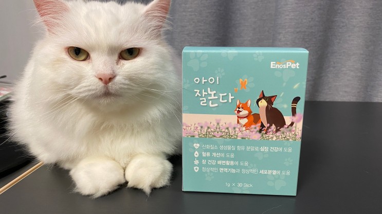 반려동물영양제 이노스펫 아이 잘 논다 노령묘를 위한 영양제