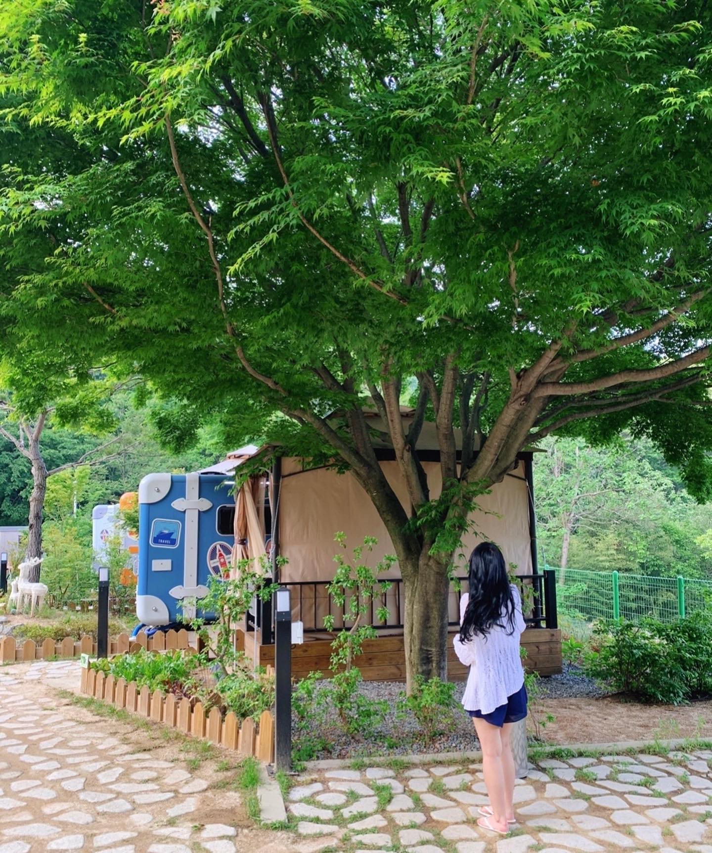 #어제 #너무 #많이#먹었나봐

캠핑하면서 입터져서 엄청 먹었더니
얼굴이 퉁퉁 부었네 ~ ㅎ

부어있어도 기분~ 좋다 😆

아~ 집 가야되는데, 집에가기 귀차닝 ~~~