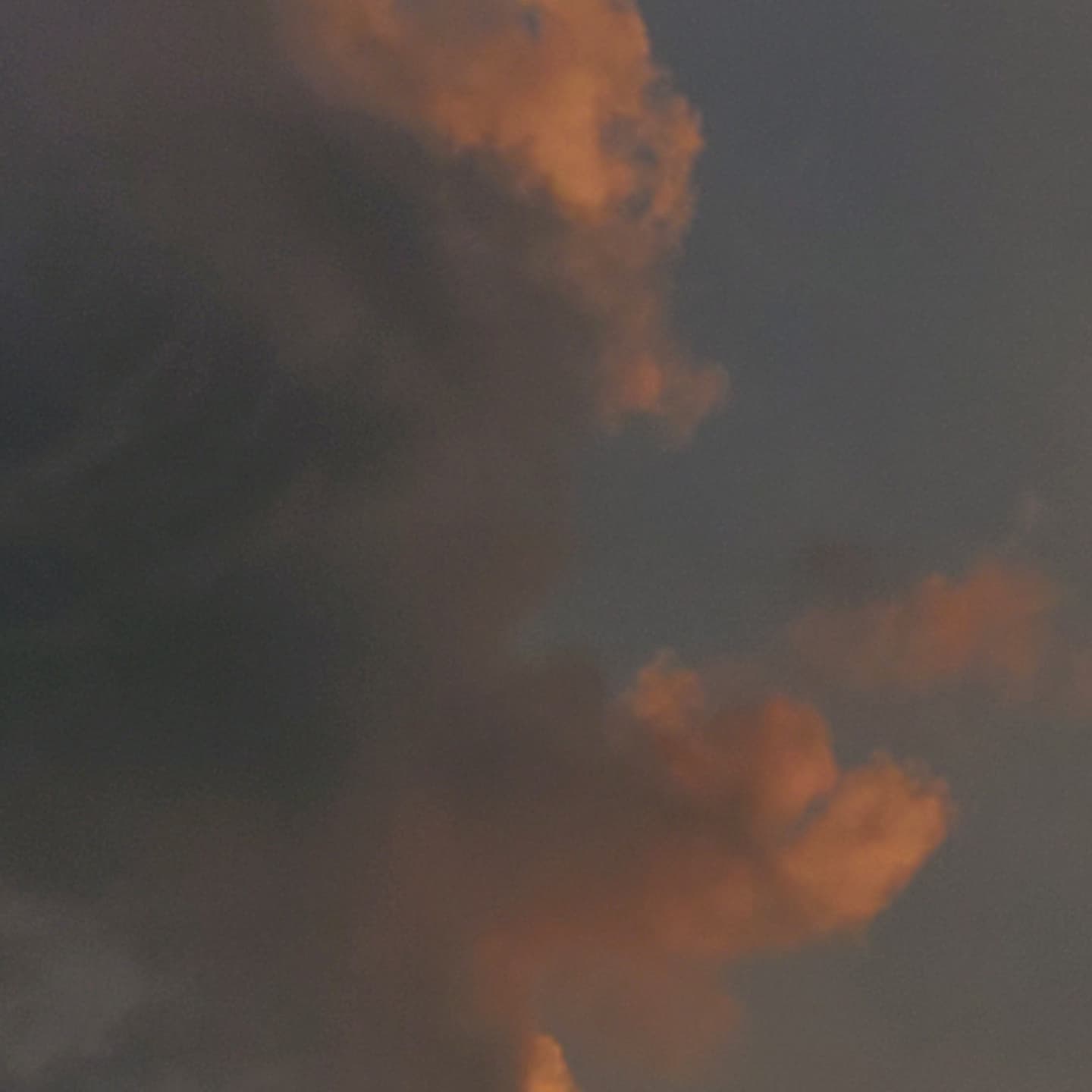 ( 그냥 함 쓱 )