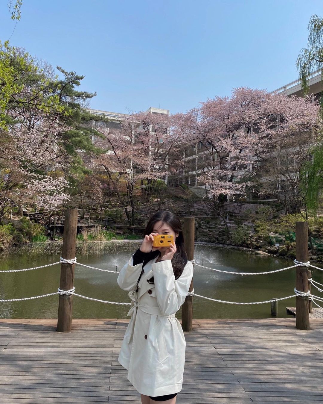 최규진 on Instagram: “카메라 진짜 그만 모아야 하는데,, 귀여운 것만 보면 가지고 싶은 병 ˃̵ࡇ˂̵”