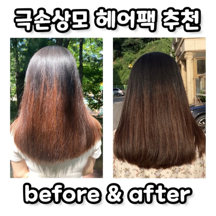 한번에 성공하는 단백질 케어 헤어 트리트먼트 (손상모 헤어팩 추천 )