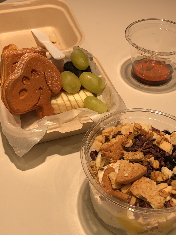 춘천 그릭요거트 맛집 그래요거, 스누피 팬케이크 디저트 맛집 추천, 한림대 그래요거 카페 후기, 춘천 한림대 디저트 카페
