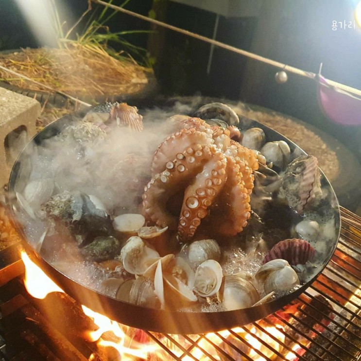(제품리뷰)콜맨파이어플레이스ST /불멍 화로대/그릴 리뷰-내돈내산