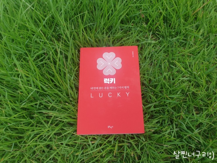 [자기계발서] 럭키 LUCKY (김도윤)
