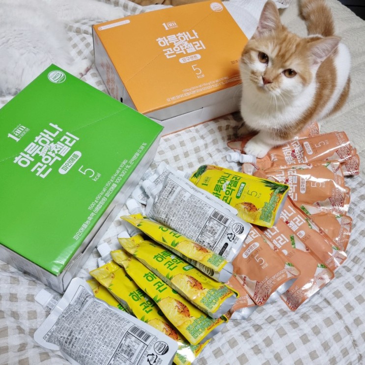 [다이어트 곤약젤리추천] 피키다이어트 1am 하루하나 곤약젤리 ~(･o･)~