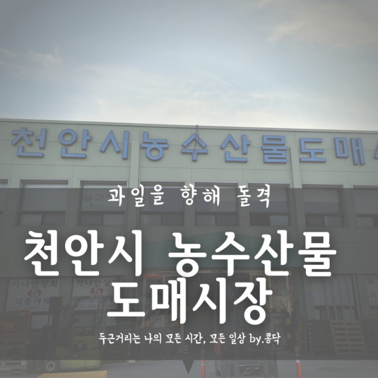천안 여행 천안시 농수산물 도매 시장 과일동에서 딱딱이 복숭아  사기.