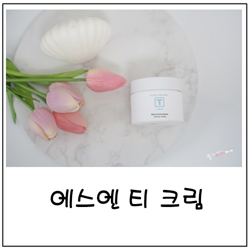 줄기세포화장품, 지성피부수분크림으로 좋은 에스엔 티크림