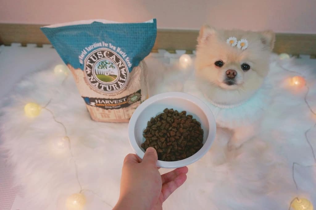 @mongsommom shared a photo on Instagram: “#협찬 @leadingpet 오늘은 솜이가 직접 먹어본 "토스칸 하베스트 강아지사료 1.2kg" 에 대해 얘기 해볼게요🐰💞 일단 토스칸 하베스트 사료는 알갱이가 작아서