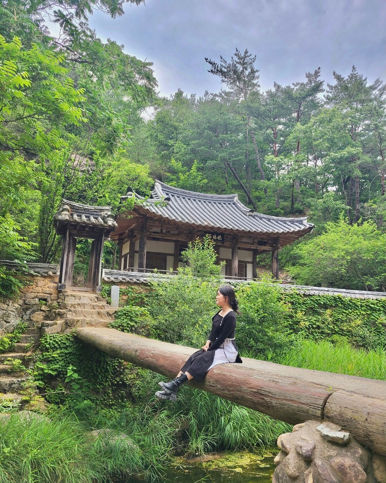 백년만의피드 .•♥
