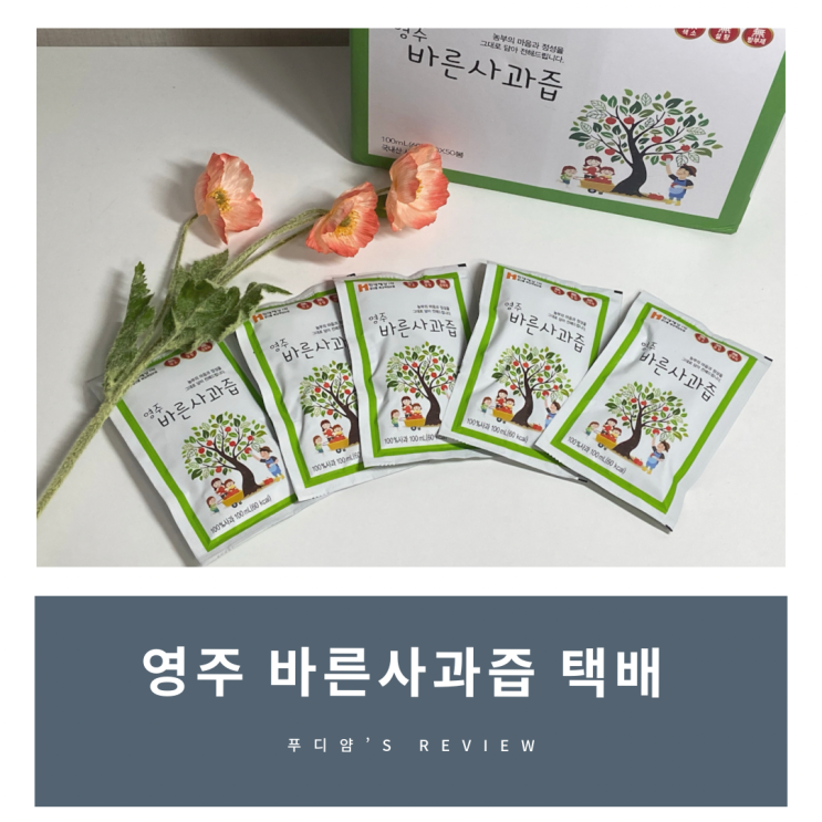 사과즙택배 추천! 영주 바른사과즙 후기